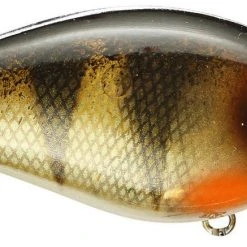 Strike King Kvd Square Bill 1.0 Silent Crankbaits
