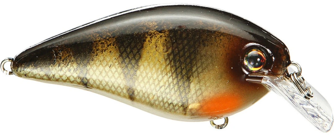 Strike King Kvd Square Bill 1.0 Silent Crankbaits