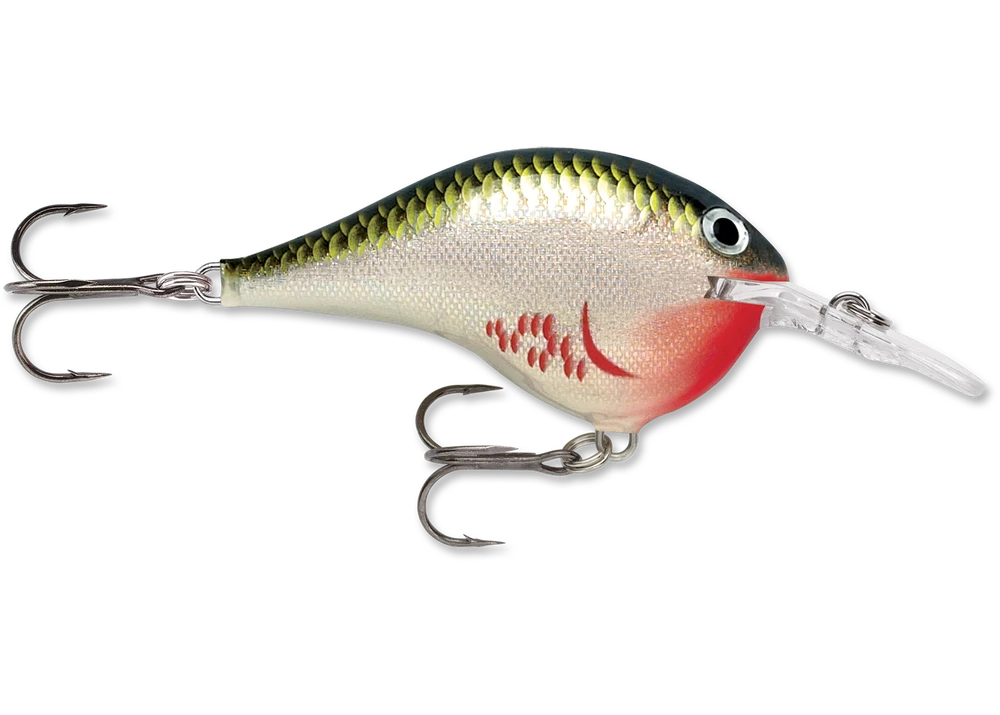 Rapala Dt Series Crankbait Dt6