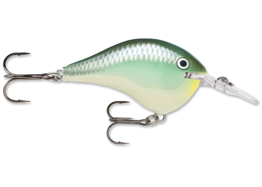 Rapala Dt Series Crankbait Dt6