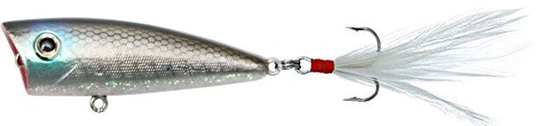 Don Iovino Baits Don Iovino Splash It