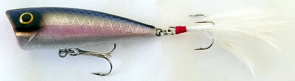 Don Iovino Baits Don Iovino Splash It