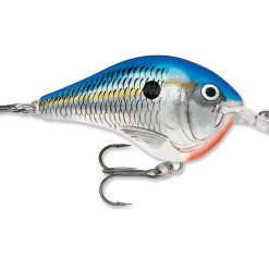Rapala Dt Series Crankbait Dt6