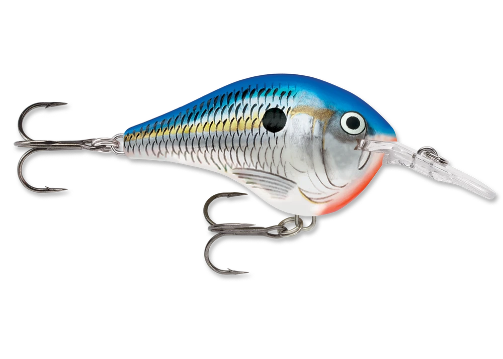 Rapala Dt Series Crankbait Dt6