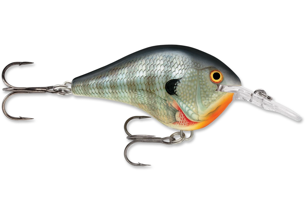 Rapala Dt Series Crankbait Dt6