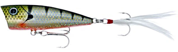 Don Iovino Baits Don Iovino Splash It