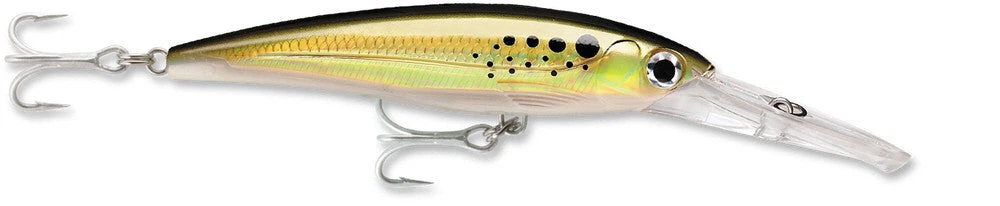 Rapala X-Rap Magnum 40 Big Game Slash Bait