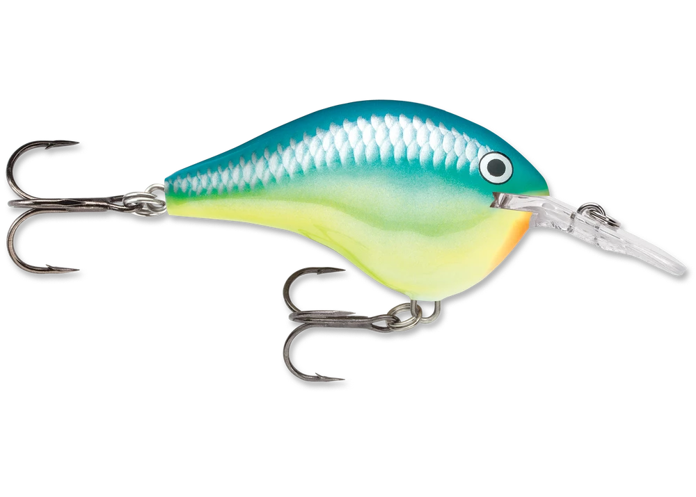 Rapala Dt Series Crankbait Dt6