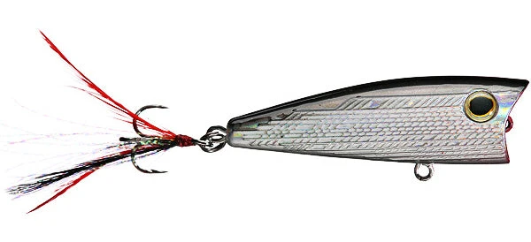 Baits Castaic Boyd Duckett Bdp60 Popper