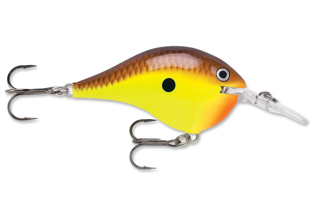 Rapala Dt Series Crankbait Dt6