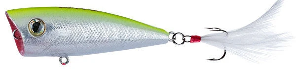 Don Iovino Baits Don Iovino Splash It