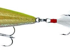 Don Iovino Baits Don Iovino Splash It