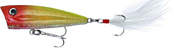 Don Iovino Baits Don Iovino Splash It