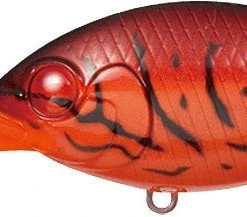 Evergreen International Cr-10 Crankbait