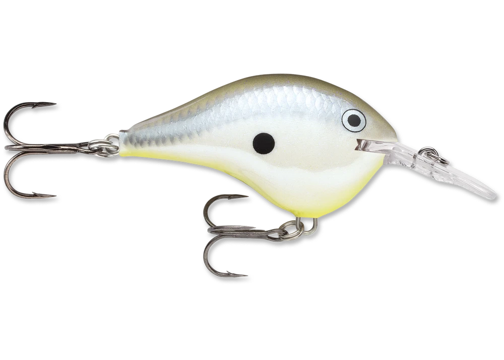 Rapala Dt Series Crankbait Dt6