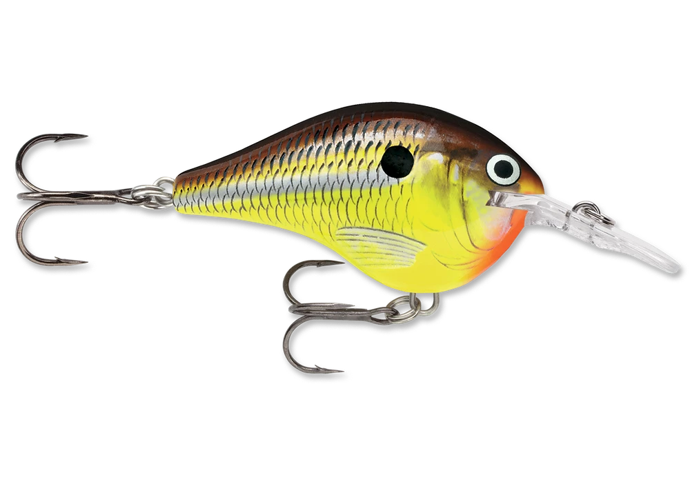 Rapala Dt Series Crankbait Dt6