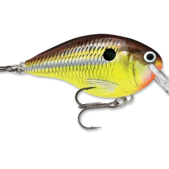 Rapala Dt Series Crankbait Dt4