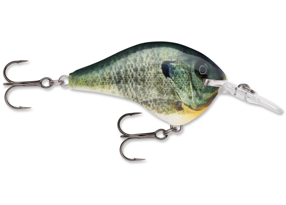 Rapala Dt Series Crankbait Dt6
