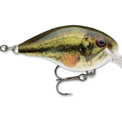 Rapala Dt Series Crankbait Dt4