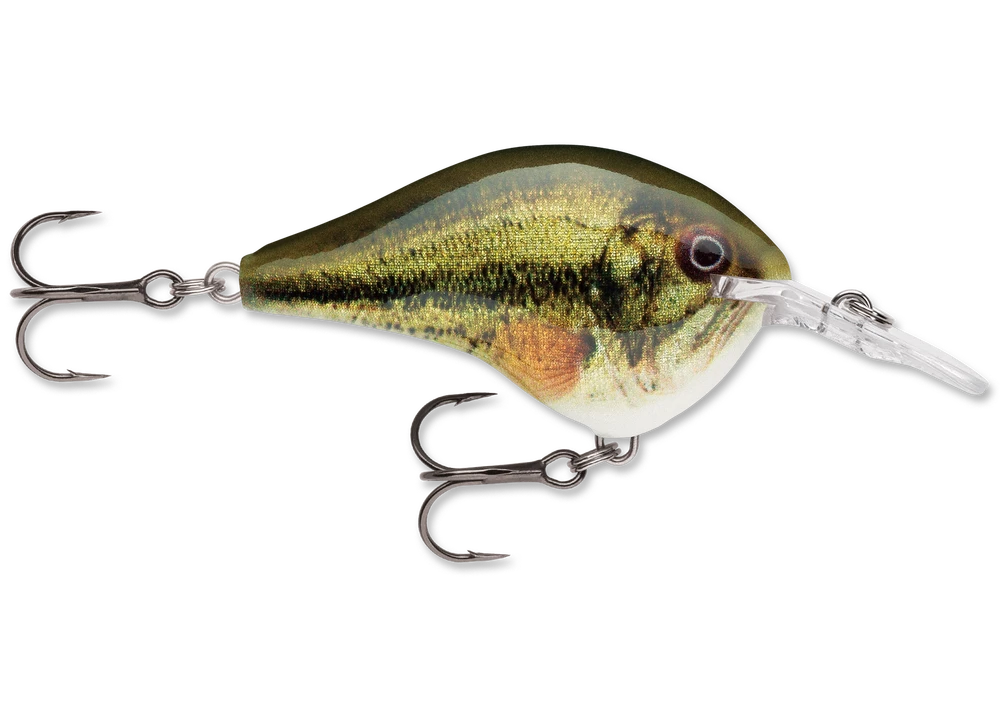 Rapala Dt Series Crankbait Dt6