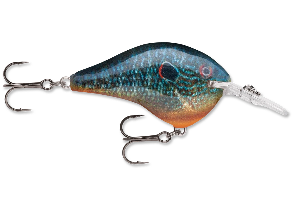 Rapala Dt Series Crankbait Dt6