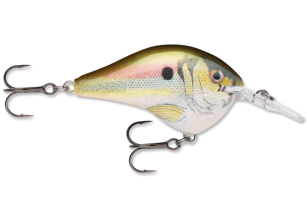 Rapala Dt Series Crankbait Dt6