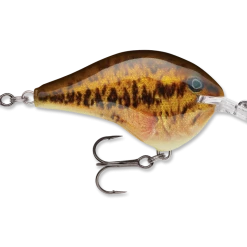 Rapala Dt Series Crankbait Dt6