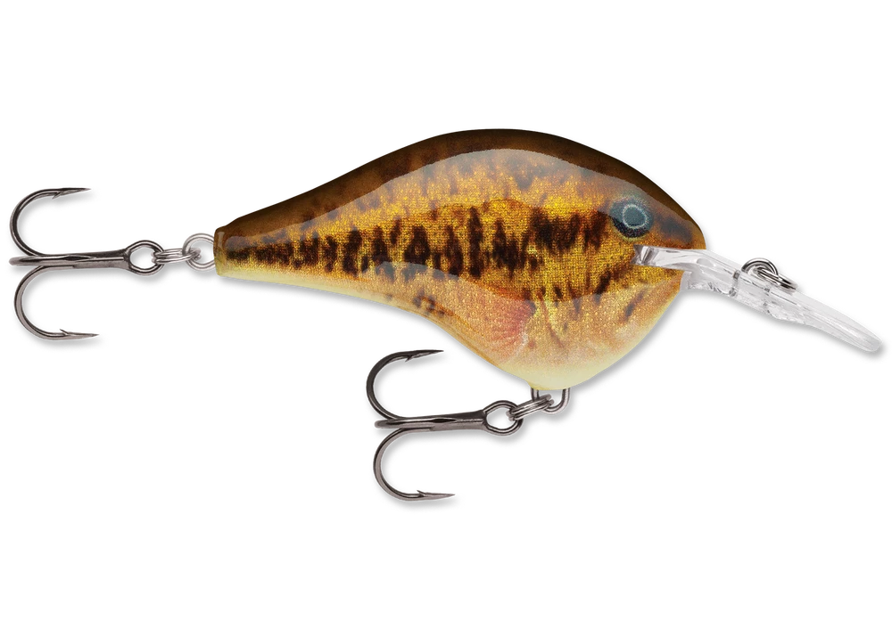 Rapala Dt Series Crankbait Dt6