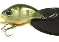 Accessories Central Coast Bass Fishing Lure Stick Black
