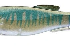 Megabass Magdraft Swimbait 6