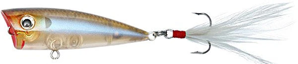 Don Iovino Baits Don Iovino Splash It