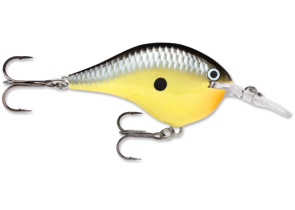 Rapala Dt Series Crankbait Dt6