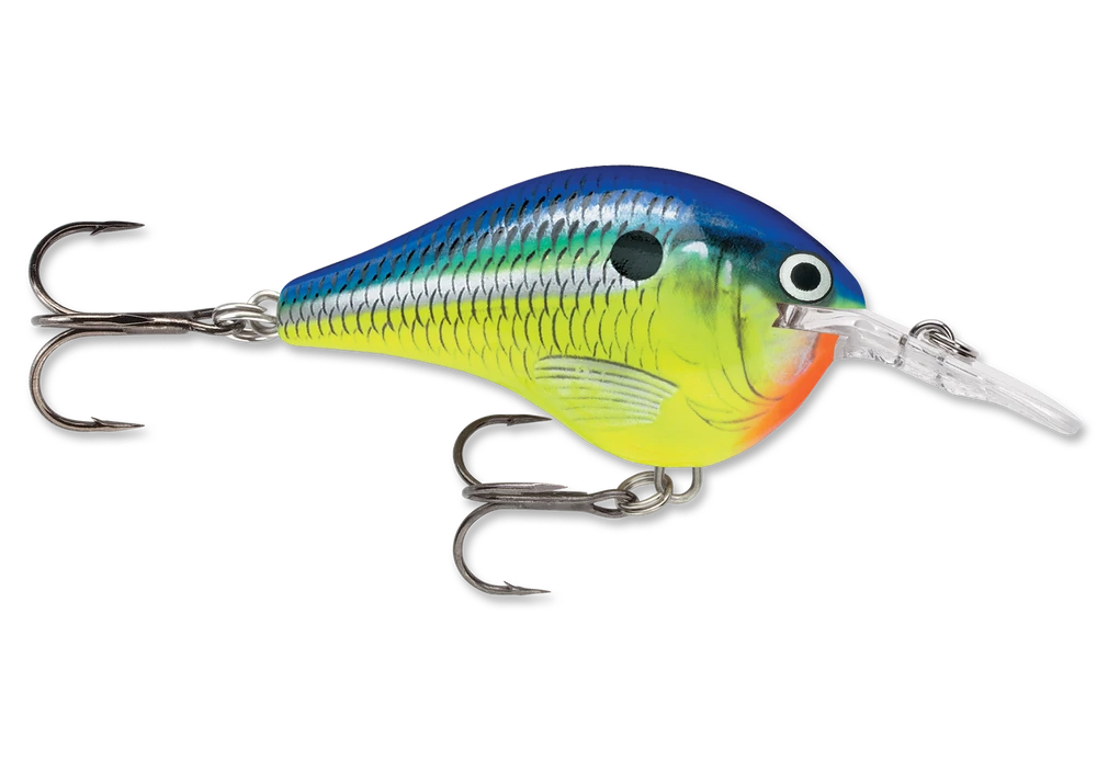 Rapala Dt Series Crankbait Dt6