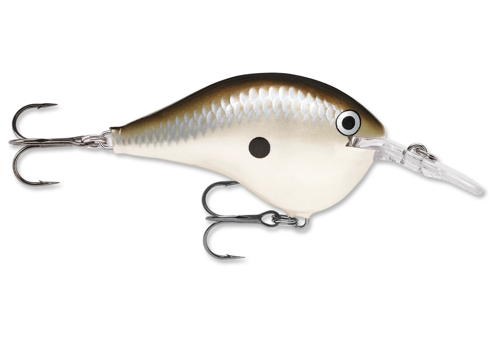 Rapala Dt Series Crankbait Dt6