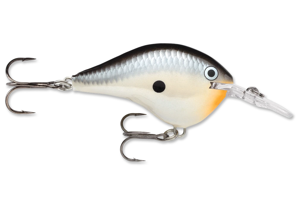Rapala Dt Series Crankbait Dt6