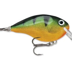 Rapala Dt Series Crankbait Dt4