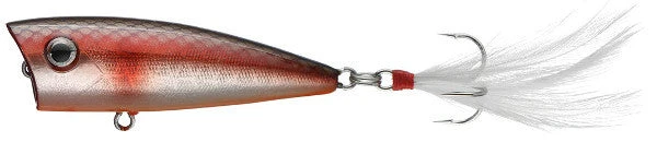 Don Iovino Baits Don Iovino Splash It