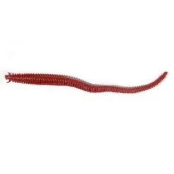 Berkley Gulp! Sandworm 6 Inch 10 Pack
