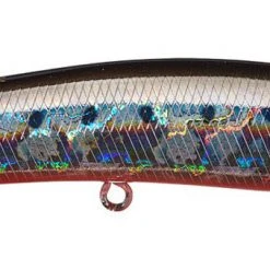 Duo International Duo Realis Pencil Popper 110 Saltwater