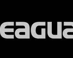 Seaguar 14 Inch Boat/Window Vinyl Letter Decals (2 Pack) Accessories