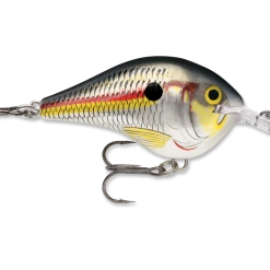 Rapala Dt Series Crankbait Dt6