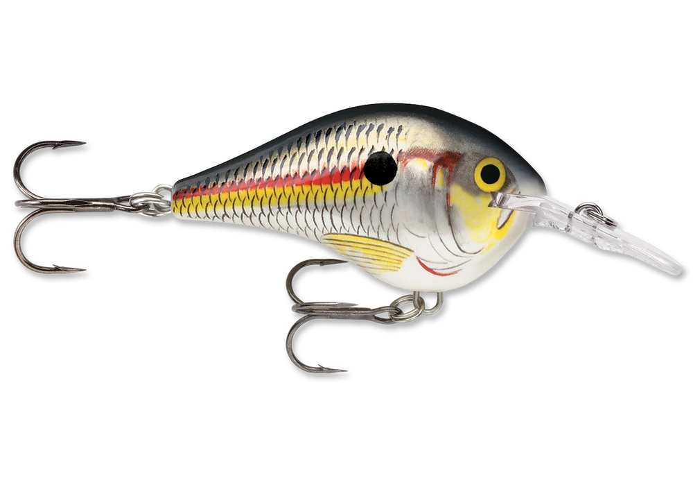 Rapala Dt Series Crankbait Dt6
