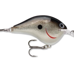 Rapala Dt Series Crankbait Dt6