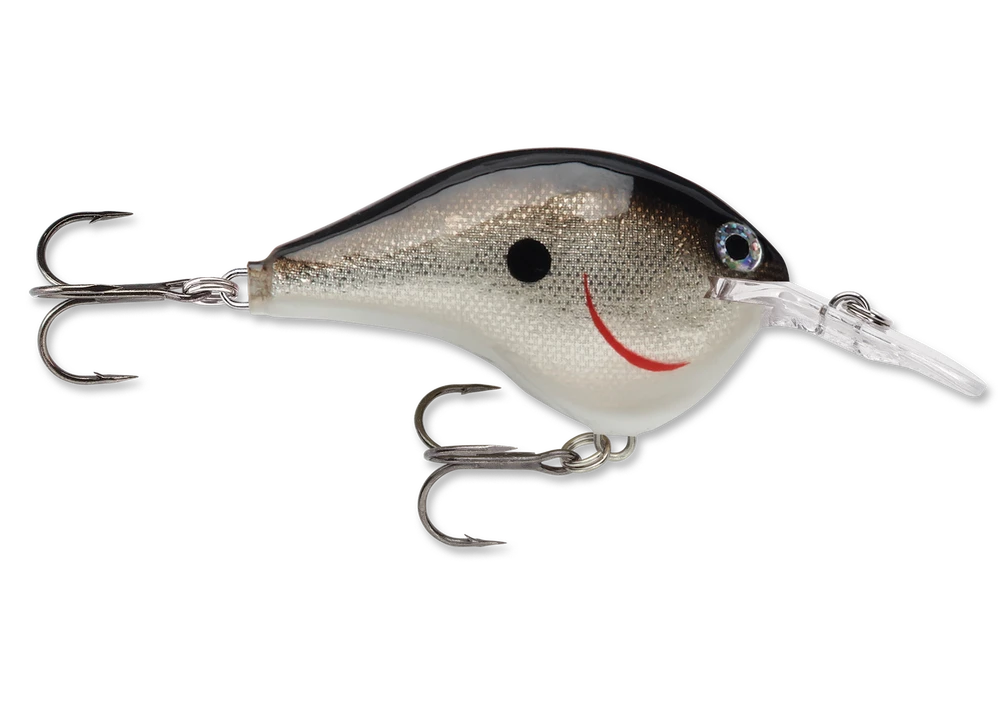 Rapala Dt Series Crankbait Dt6
