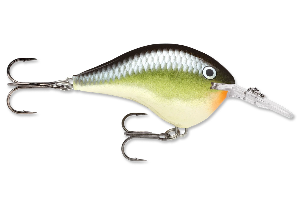 Rapala Dt Series Crankbait Dt6