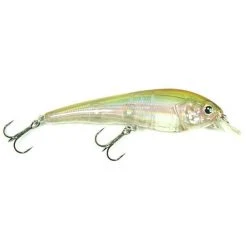 Baits Strike Pro T'Railer